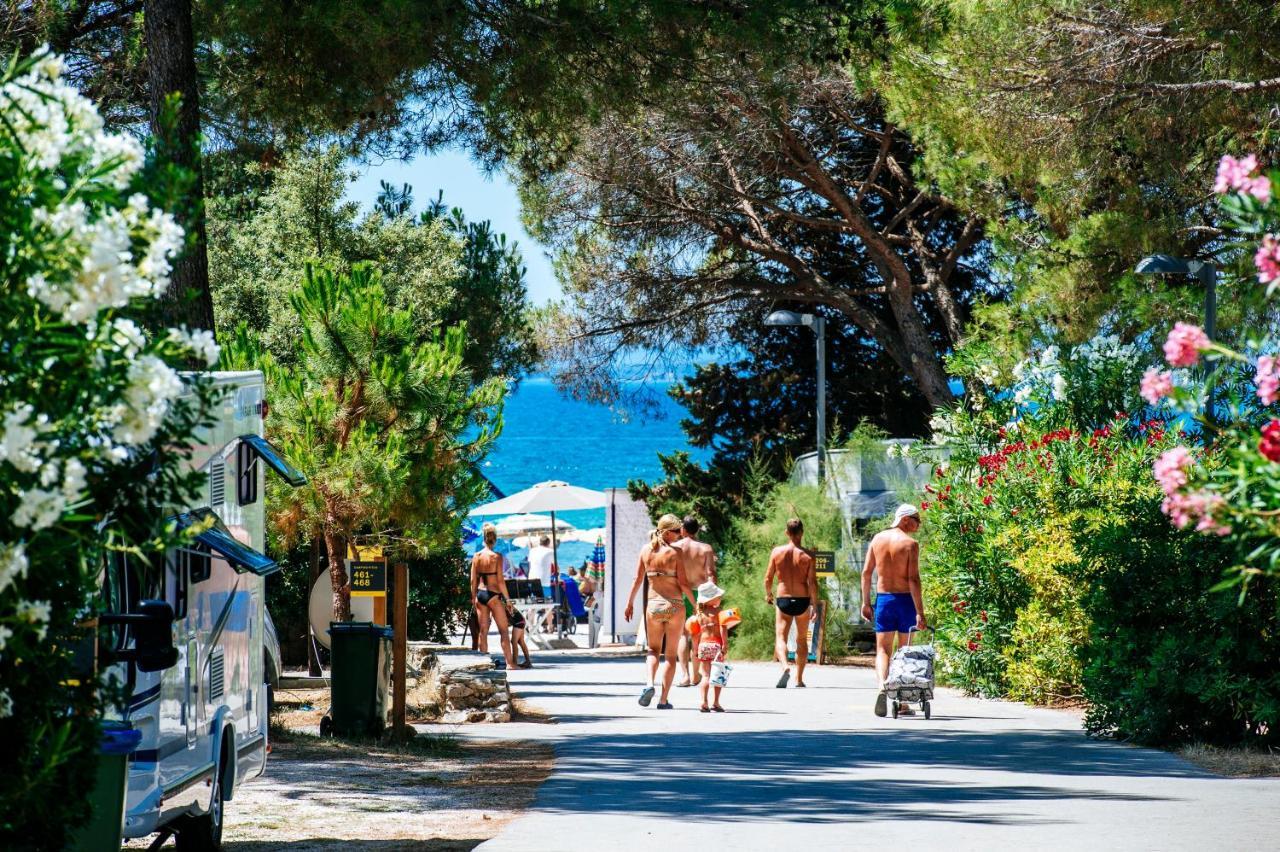 Salve Croatia Mobile Homes In Zaton Holiday Resort المظهر الخارجي الصورة